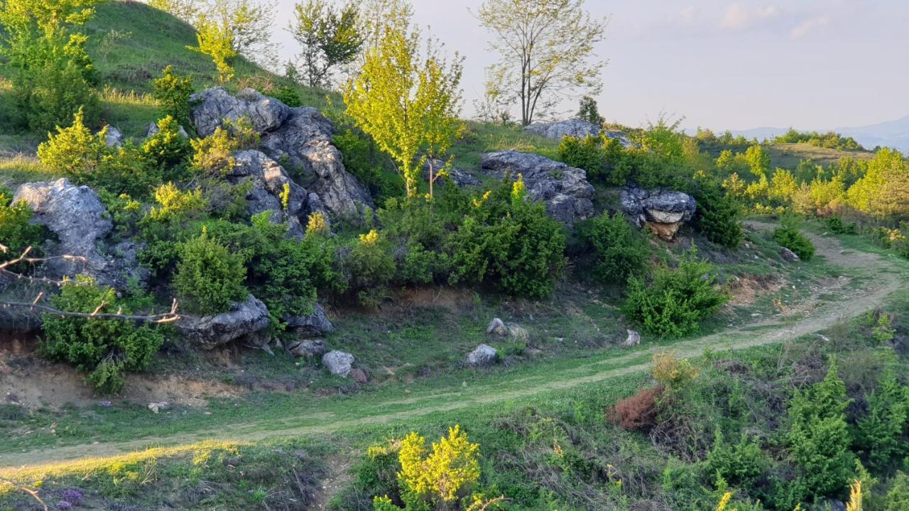 Бялата Къща Chakalarovo Exterior foto